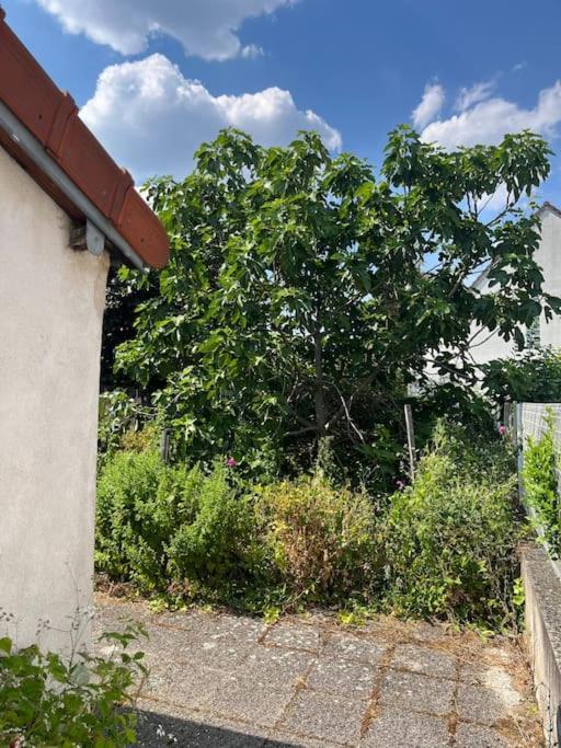 ויטרי-סור-סיין Lovely House Close To Paris מראה חיצוני תמונה