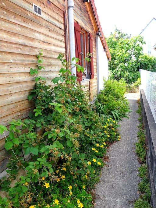 ויטרי-סור-סיין Lovely House Close To Paris מראה חיצוני תמונה